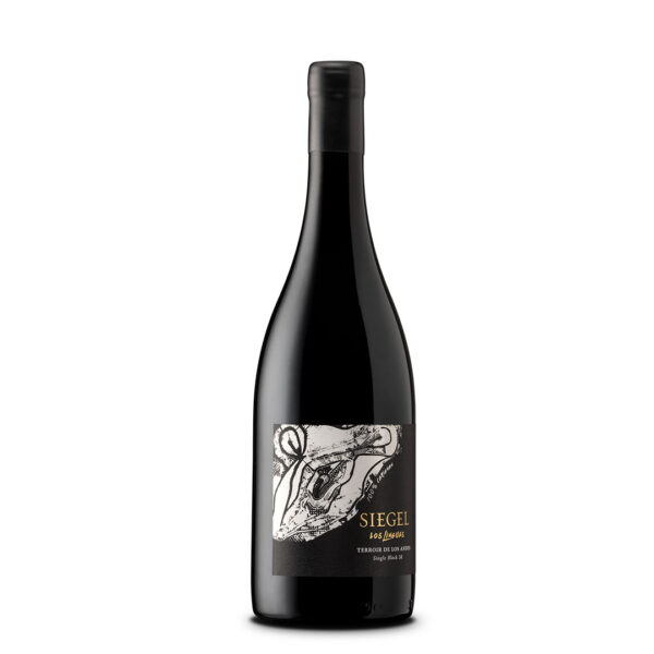 LOS-LINGUES_CARIGNAN